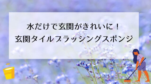 水だけできれいになる!?アズマ工業玄関タイルブラッシングスポンジ｜ﾉﾄﾘｴ雑記帳